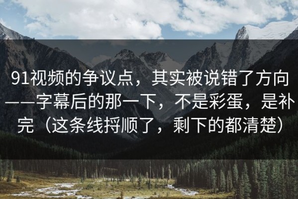 91视频的争议点，其实被说错了方向——字幕后的那一下，不是彩蛋，是补完（这条线捋顺了，剩下的都清楚）