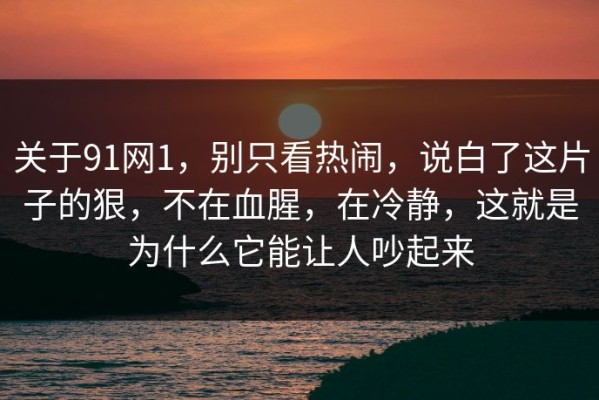 关于91网1，别只看热闹，说白了这片子的狠，不在血腥，在冷静，这就是为什么它能让人吵起来