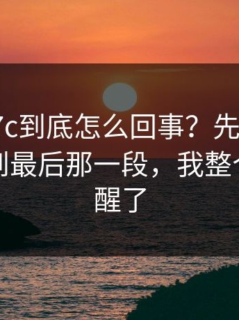 有人问17c到底怎么回事？先把这点弄清：看到最后那一段，我整个人都清醒了