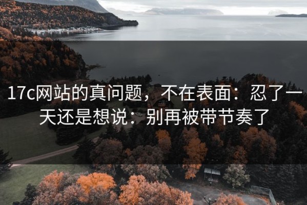 17c网站的真问题，不在表面：忍了一天还是想说：别再被带节奏了