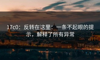 17c0：反转在这里：一条不起眼的提示，解释了所有异常