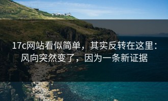 17c网站看似简单，其实反转在这里：风向突然变了，因为一条新证据