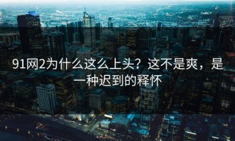 91网2为什么这么上头？这不是爽，是一种迟到的释怀