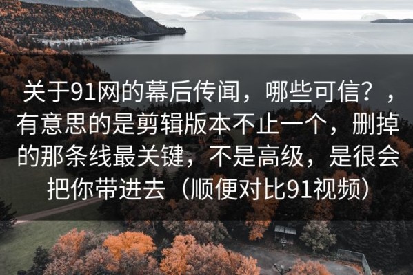 关于91网的幕后传闻，哪些可信？，有意思的是剪辑版本不止一个，删掉的那条线最关键，不是高级，是很会把你带进去（顺便对比91视频）