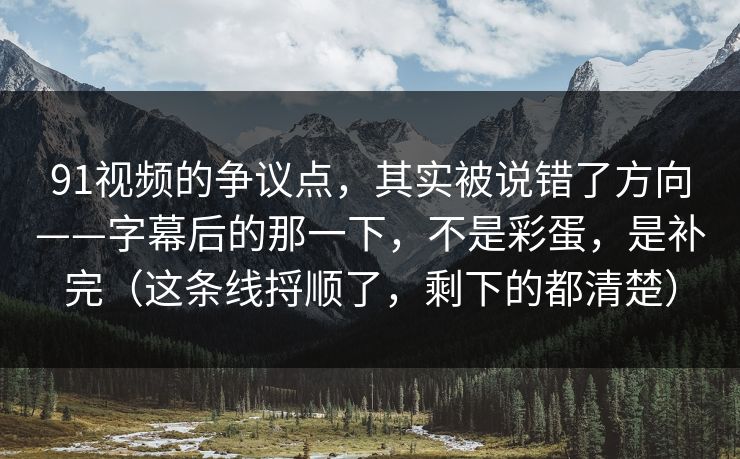 91视频的争议点，其实被说错了方向——字幕后的那一下，不是彩蛋，是补完（这条线捋顺了，剩下的都清楚）