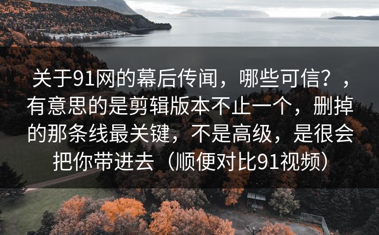 关于91网的幕后传闻，哪些可信？，有意思的是剪辑版本不止一个，删掉的那条线最关键，不是高级，是很会把你带进去（顺便对比91视频）