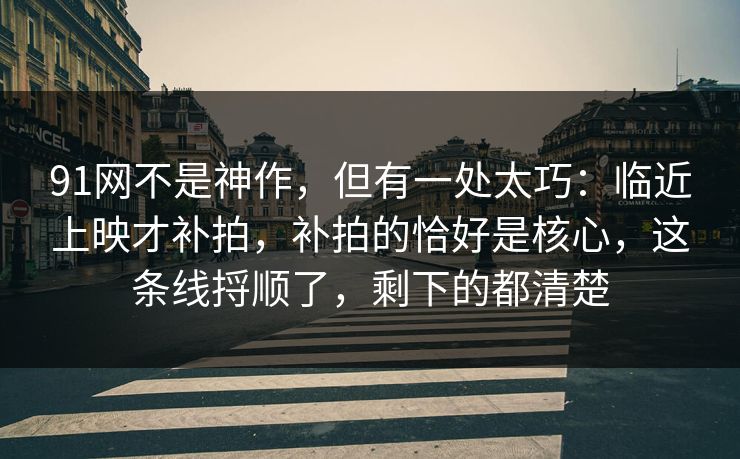 91网不是神作，但有一处太巧：临近上映才补拍，补拍的恰好是核心，这条线捋顺了，剩下的都清楚