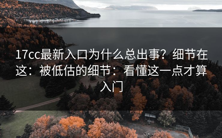 17cc最新入口为什么总出事？细节在这：被低估的细节：看懂这一点才算入门