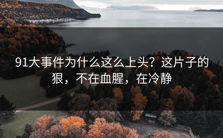 91大事件为什么这么上头?这片子的狠,不在血腥,在冷静 91大事件为什么这么上头?这片子的狠,不在血腥,在冷静