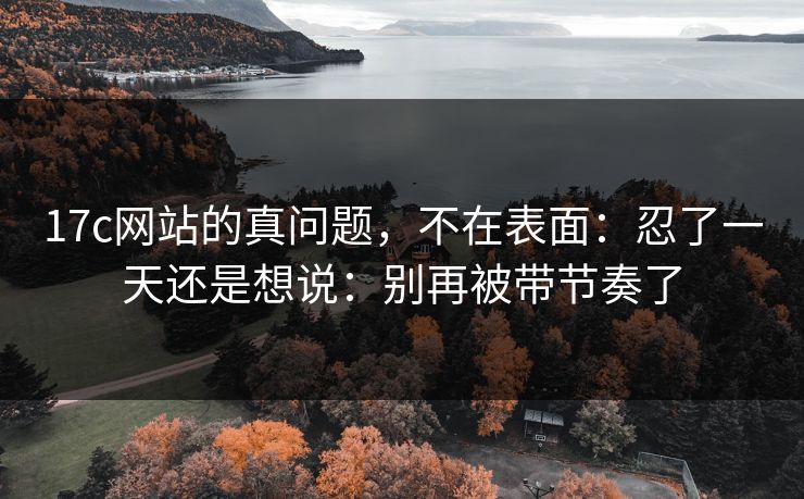 17c网站的真问题，不在表面：忍了一天还是想说：别再被带节奏了
