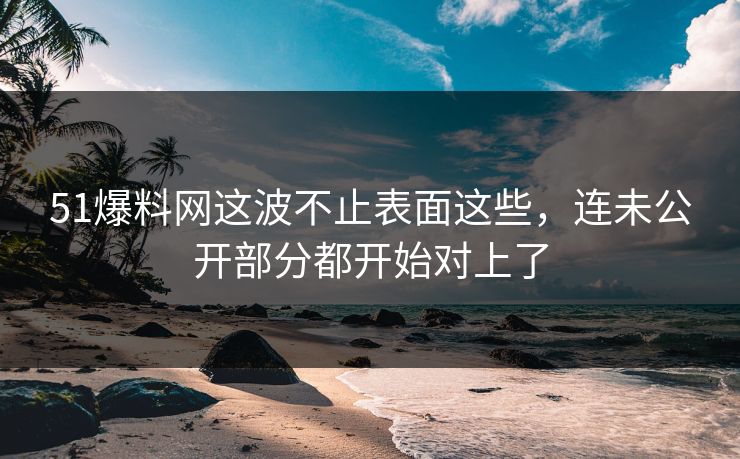 51爆料网这波不止表面这些,连未公开部分都开始对上了 51爆料网这波不止表面这些,连未公开部分都开始对上了